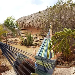 https://yamba-from-bonaire.comcaribbean.com